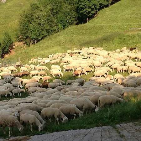 Rifugio Marchett فندق ليكو