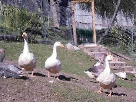 Hotel Rifugio Marchett *